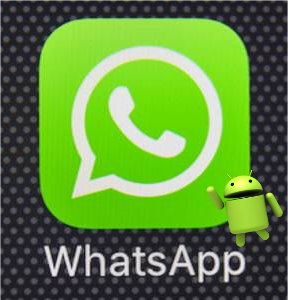 WhatsApp Android