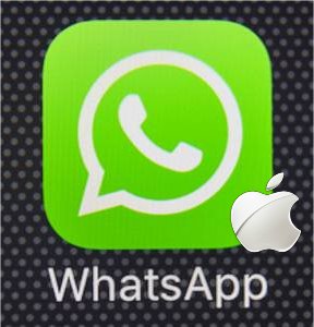 WhatsApp Apple